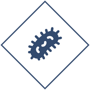 Уничтожение бактерий в Уфе и Республике Башкортостан