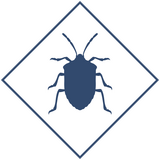 Уничтожение клопов в Уфе и Республике Башкортостан