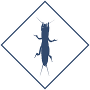 Уничтожение медведки в Уфе и Республике Башкортостан