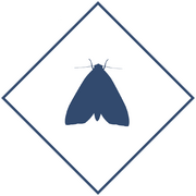 Уничтожение моли в Уфе и Республике Башкортостан