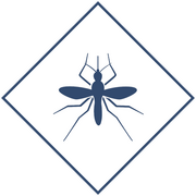 Уничтожение мошек в Уфе и Республике Башкортостан