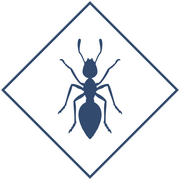 Уничтожение муравьев в Уфе и Республике Башкортостан