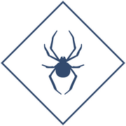 Уничтожение пауков в Уфе и Республике Башкортостан