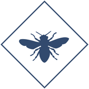 Уничтожение пчел в Уфе и Республике Башкортостан