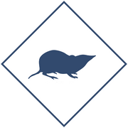 Уничтожение землероек в Уфе и Республике Башкортостан