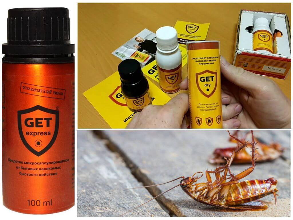 Список популярных магазинных средств в борьбе с тараканами