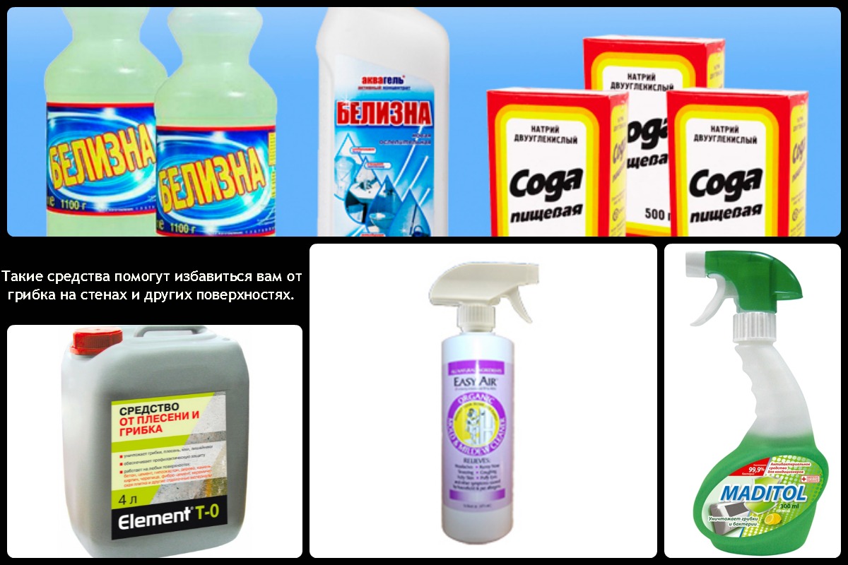 Подручные средства и растворы для уничтожения плесени