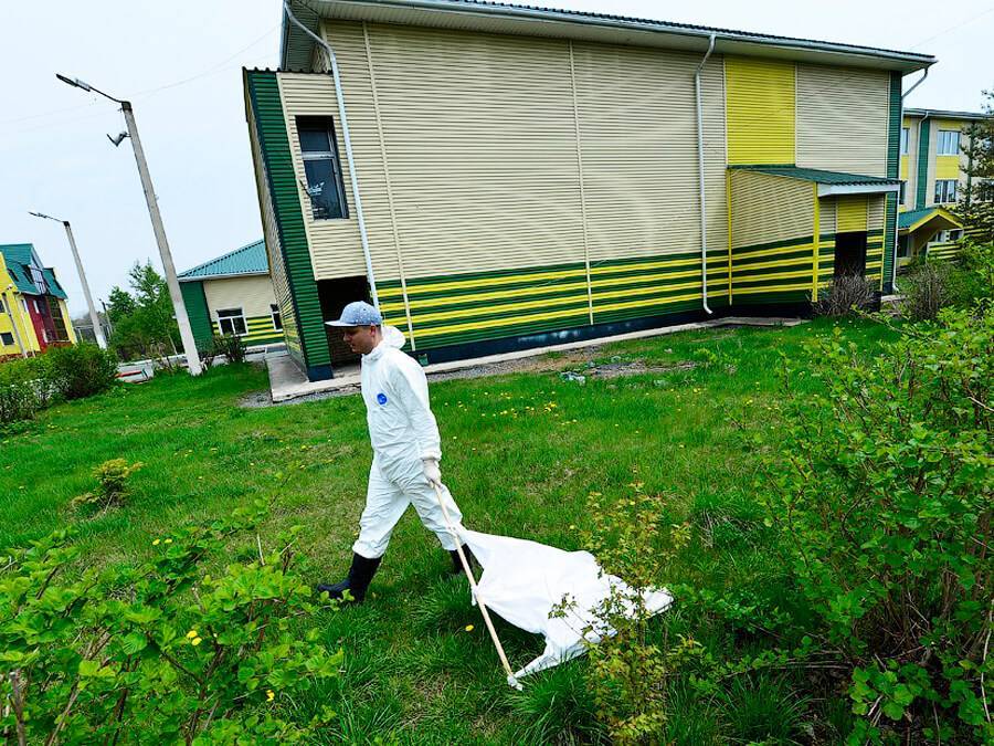 Чем обработать участок на даче от клещей