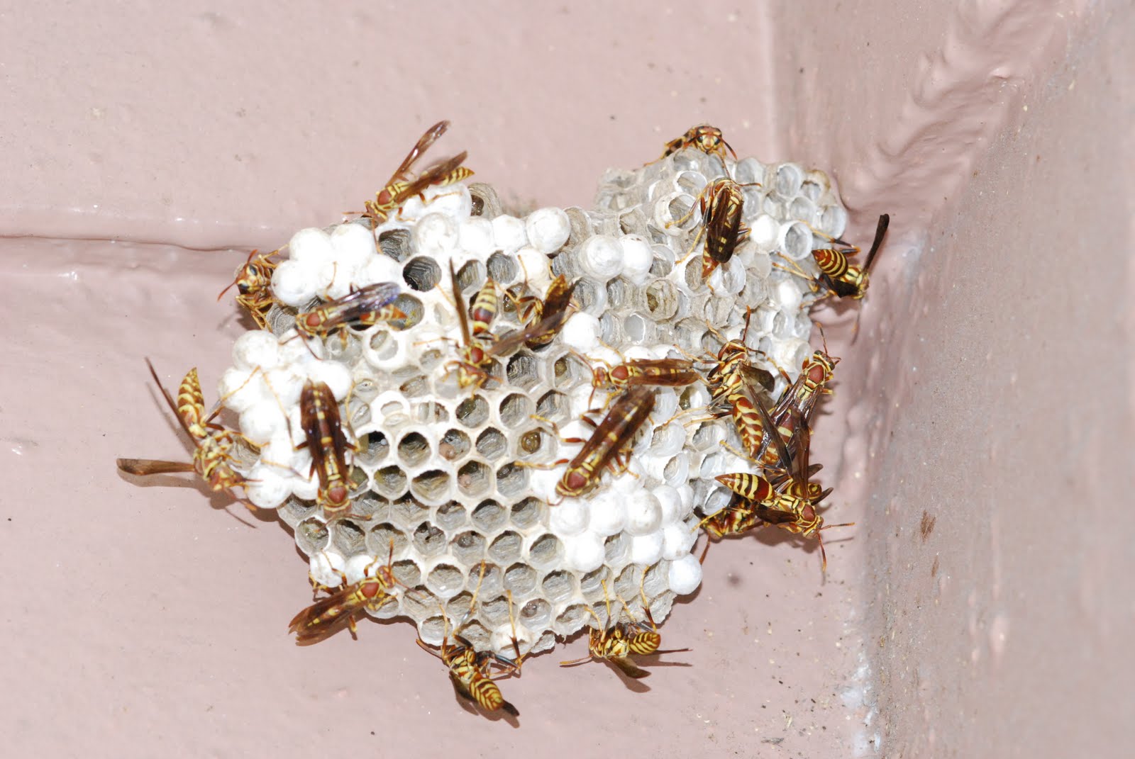 3 шага на пути к уничтожению ос в офисе