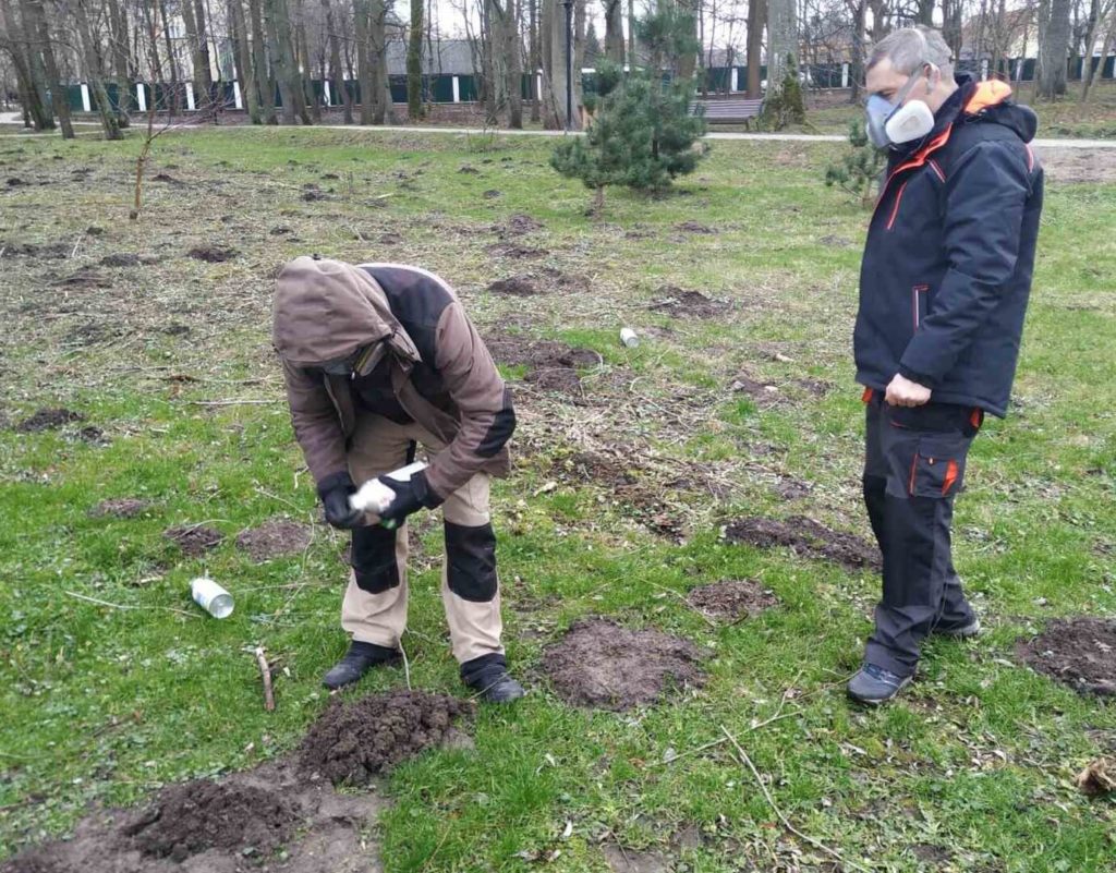 Как избавиться от кротов на дачном участке