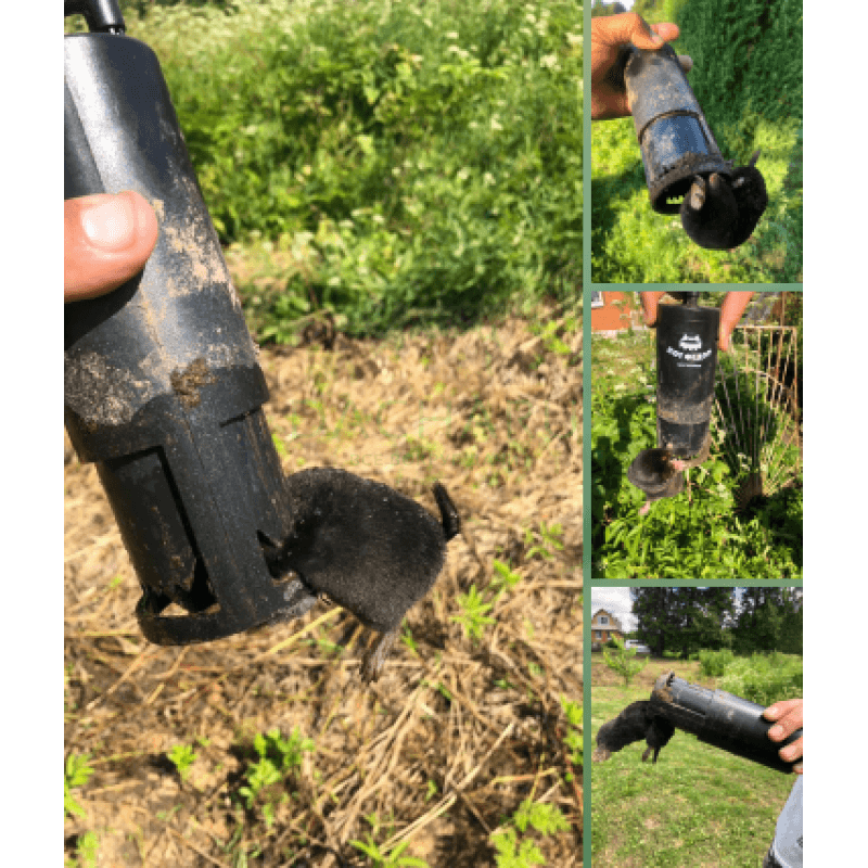 Ловушки для кротов