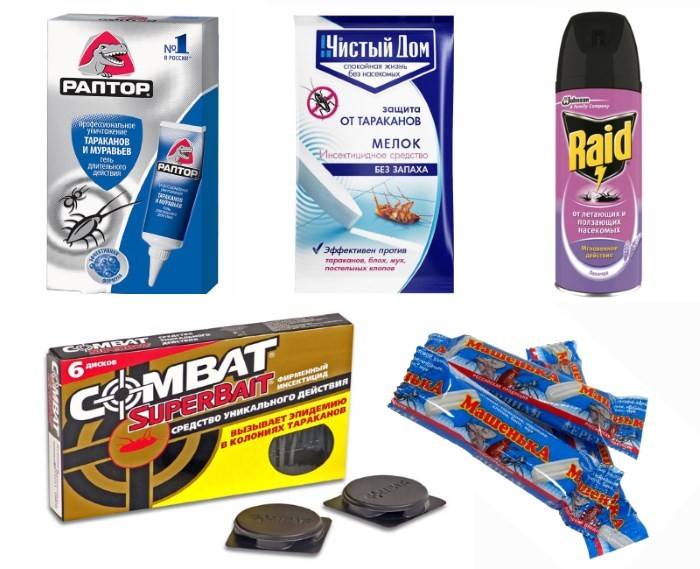 Какое средство от тараканов эффективно в офисе