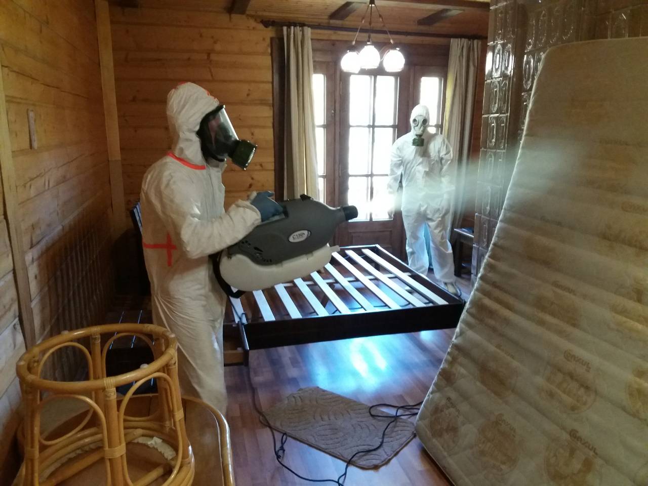 Особенности уничтожения клопов в деревянном доме