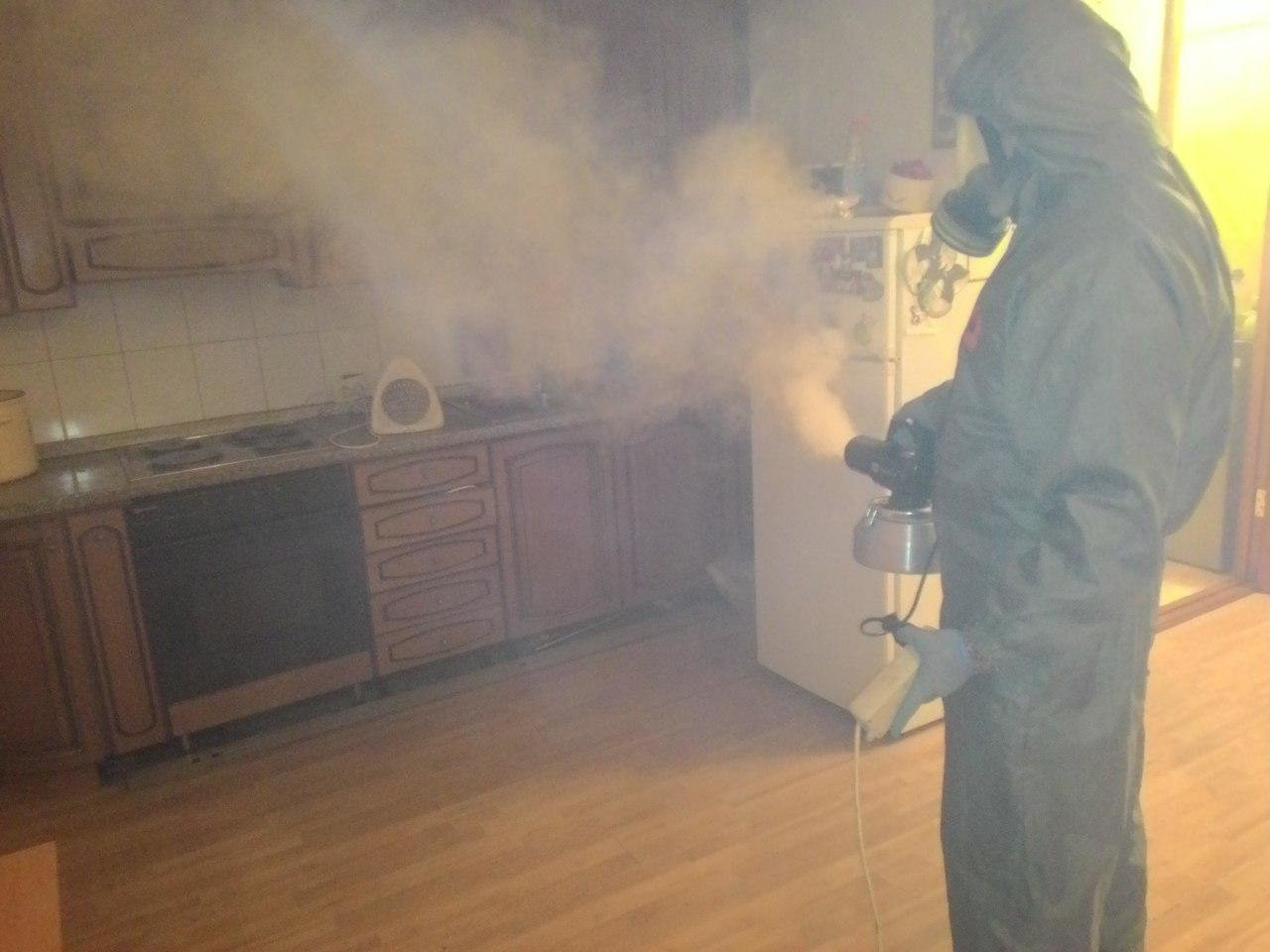 Как вывести с квартиры трупный запах