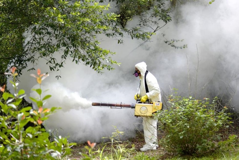 Комар обыкновенный: ареал обитания, вредоносность