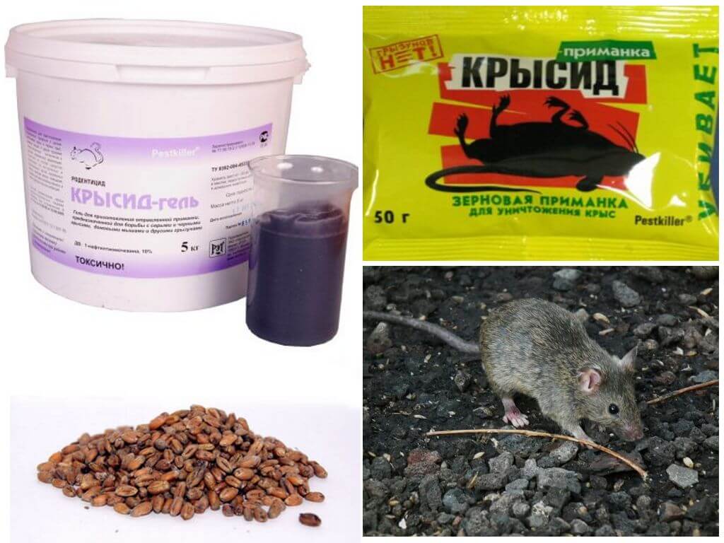 Разновидности крысиного яда