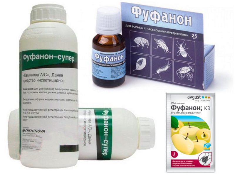 Препараты, которые помогут прогнать клопов в квартире