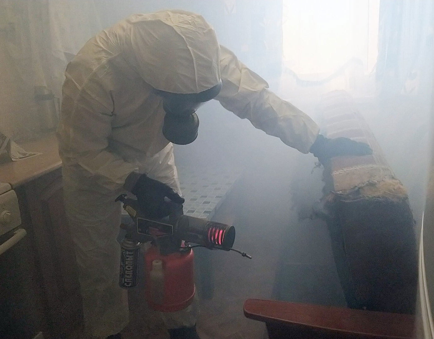 Как избавиться от клопов в квартире, и чем они опасны