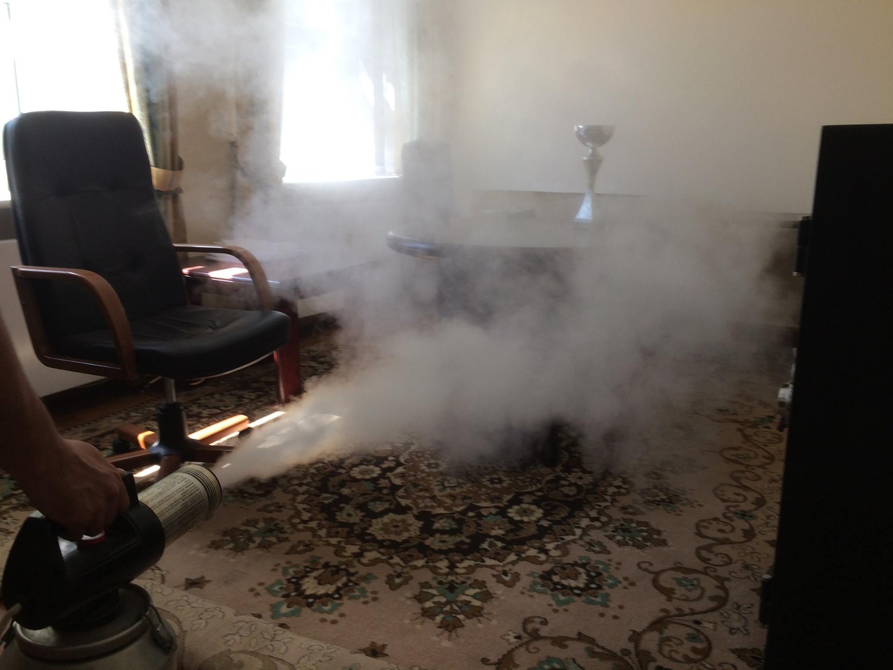 Как избавиться от трупного запаха в квартире