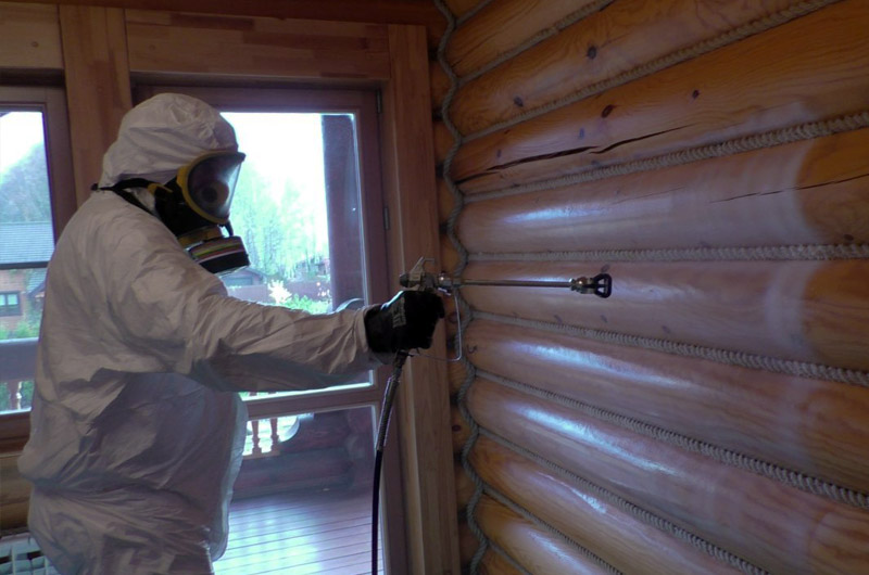 Как избавиться от короедов в частном доме